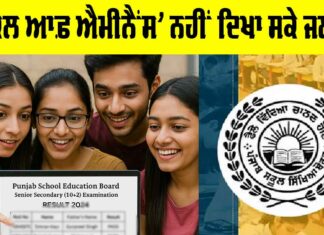 Punjab Board 12th Results