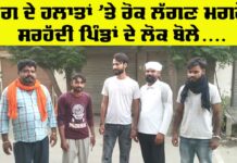 Punjab Border News