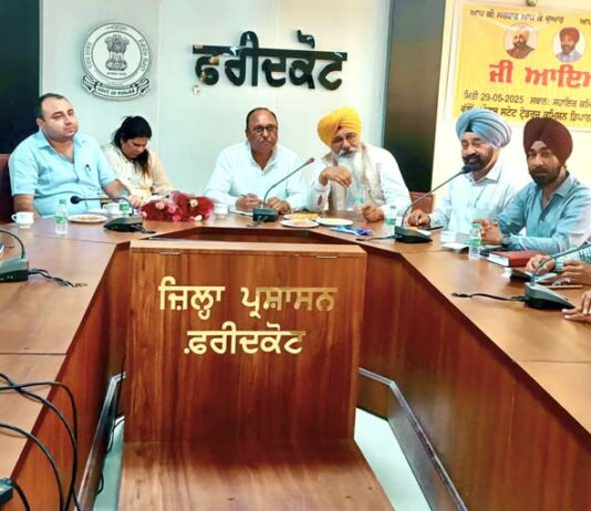 Punjab Business Environment