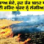 Punjab Farmers News