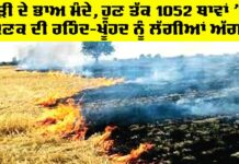 Punjab Farmers News