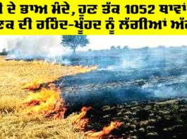 Punjab Farmers News
