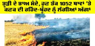 Punjab Farmers News