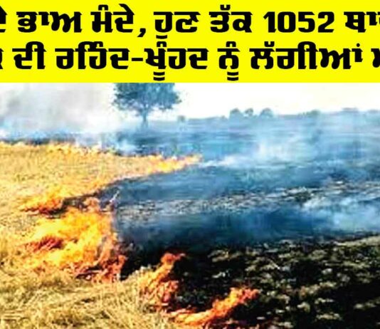 Punjab Farmers News