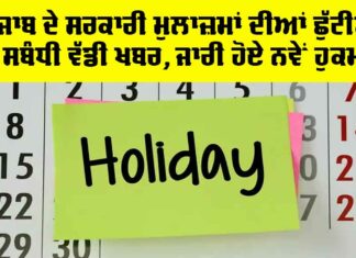 Punjab Government Employee Leave News
