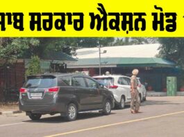 Punjab Government News