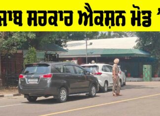Punjab Government News