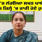 Punjab Government News