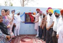 Punjab Government News