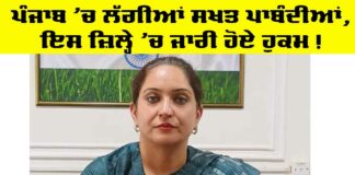 Punjab Government News