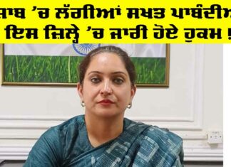 Punjab Government News