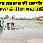 Punjab Government News