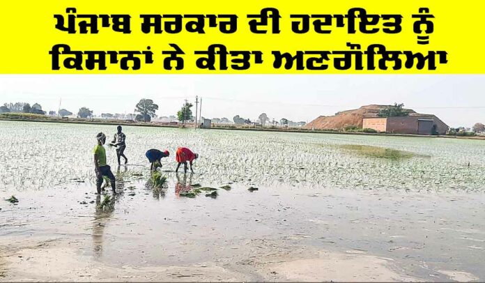 Punjab Government News