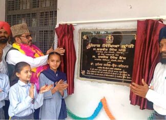 Punjab Government Schools