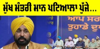 Punjab News