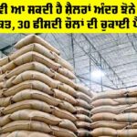 Punjab Paddy Silos