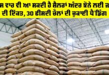 Punjab Paddy Silos