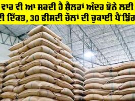 Punjab Paddy Silos: ਇਸ ਵਾਰ ਵੀ ਆ ਸਕਦੀ ਹੈ ਸ਼ੈਲਰਾਂ ਅੰਦਰ ਝੋਨੇ ਲਈ ਜਗ੍ਹਾ ਦੀ ਦਿੱਕਤ, 30 ਫੀਸਦੀ ਚੌਲਾਂ ਦੀ ਚੁਕਾਈ ਪੈਂਡਿੰਗ Punjab Paddy Silos