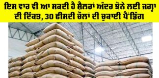 Punjab Paddy Silos