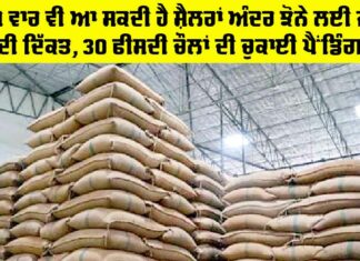Punjab Paddy Silos