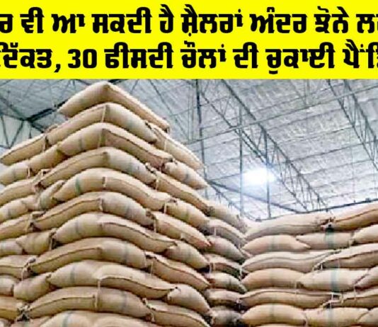 Punjab Paddy Silos