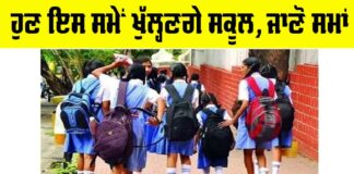 Punjab School Timings