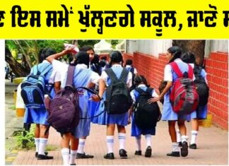 Punjab School Timings