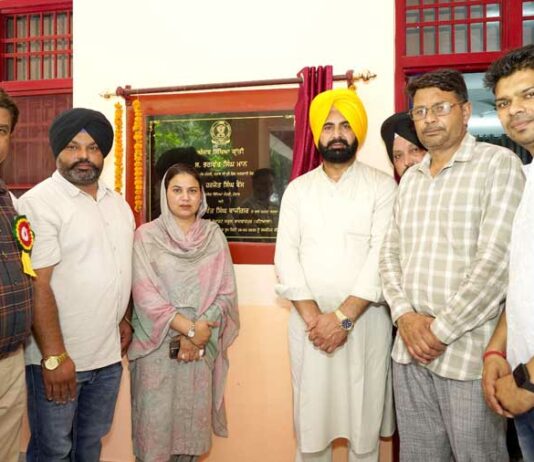 Punjab Sikhya kranti