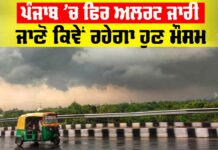 Punjab Weather Report