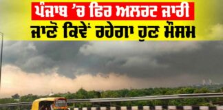 Punjab Weather Report