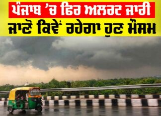 Punjab Weather Report