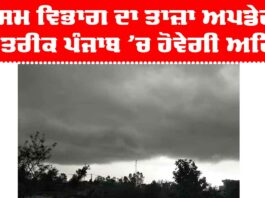 Punjab Weather Update