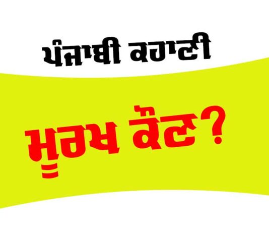 Punjabi Story