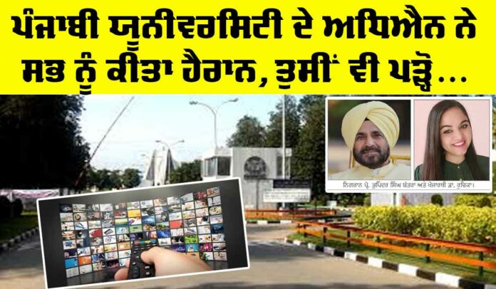 Punjabi-University-Patiala Punjabi University Patiala