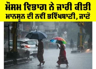 Rain Forecast