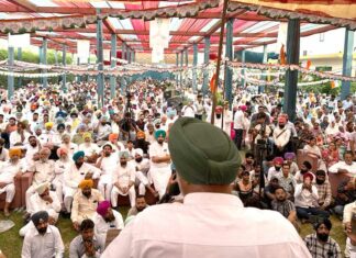 Save Constitution Rally