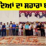 Save Birds