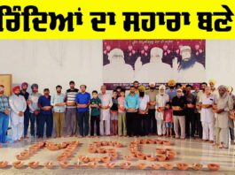 Save Birds