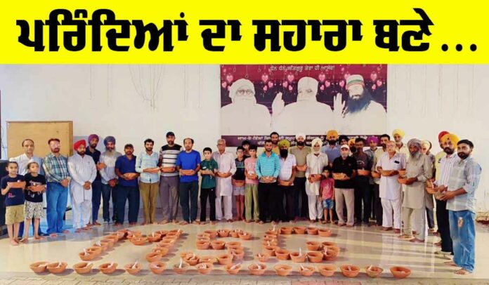 Save Birds