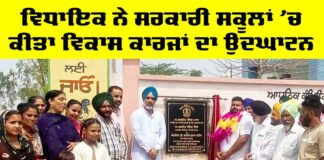 Government Schools