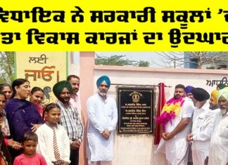 Government Schools
