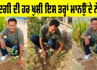 Sirsa News