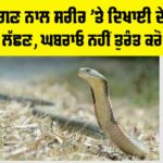 Snake News