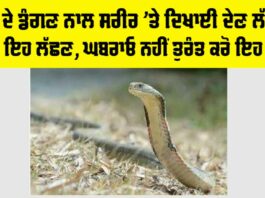 Snake News