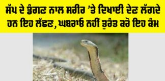 Snake News