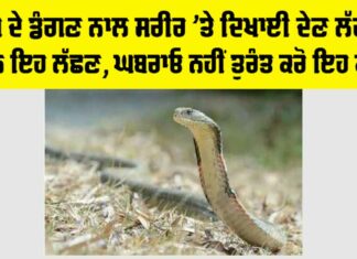 Snake News