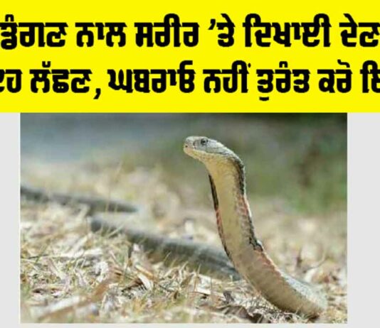 Snake News