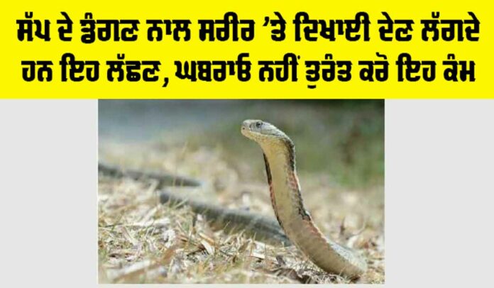 Snake News