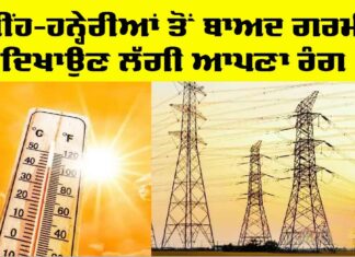 Temperature Punjab