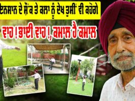 Viral Talent Punjab